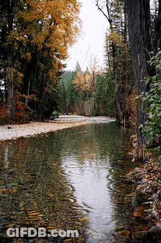 River Surrounded By Trees And Rocks On Cloudy Day GIF