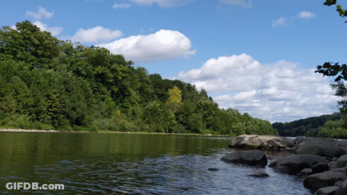 River Surrounded By Trees And Rocks GIF