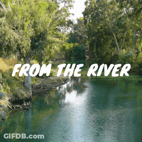River Surrounded By Trees Saying From The River GIF