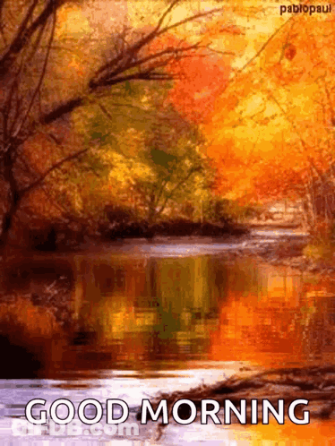 River Surrounded By Trees Saying Good Morning GIF