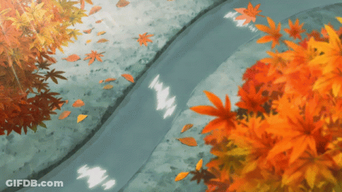 River Surrounded By Trees With Leaves On Ground GIF