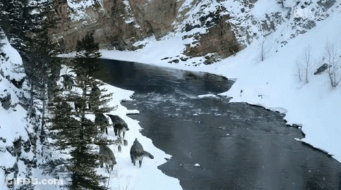 River Through Snowy Landscape With Trees And Rocks GIF