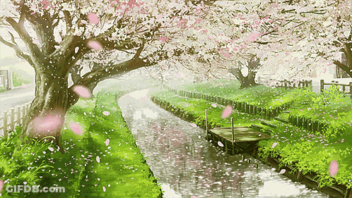 River With Cherry Blossom Trees GIF