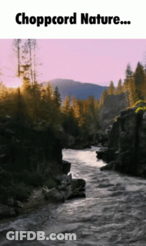 River With Chopcord Nature GIF