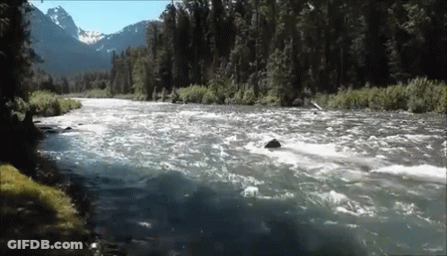 River With Mountains And Trees GIF