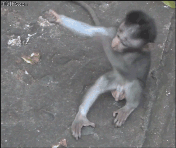 Rizz Baby Monkeys Tight Hug GIF