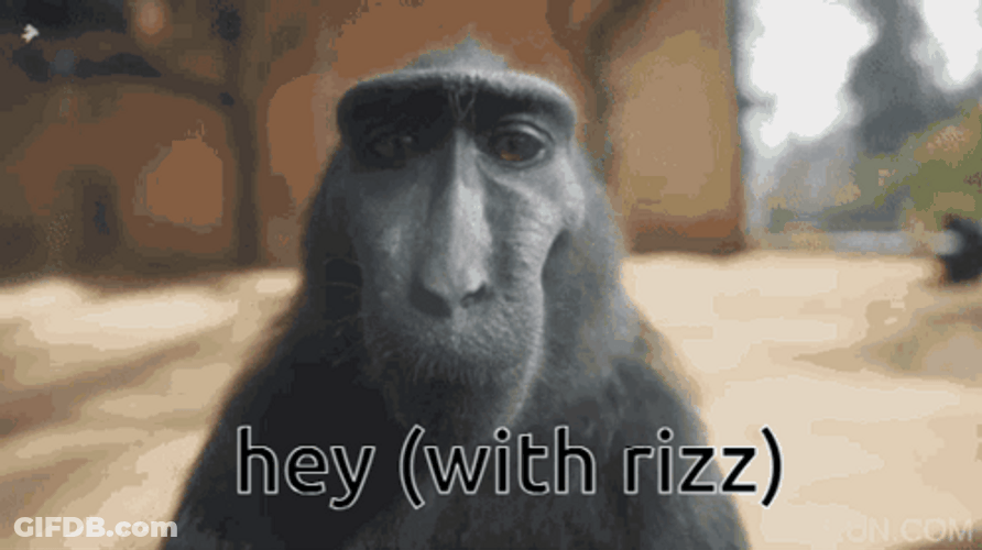 Rizz Meme Face Monkey Hey GIF