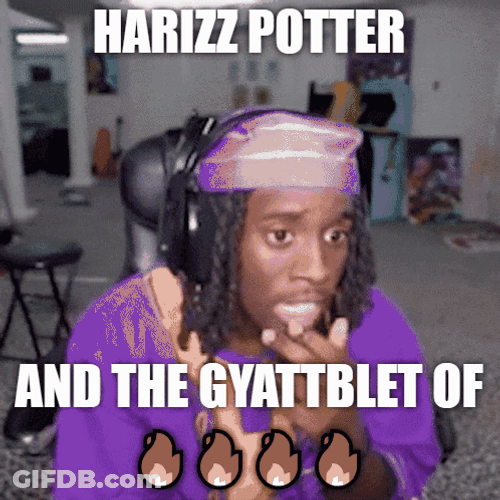 Rizz Meme Harizz Potter GIF
