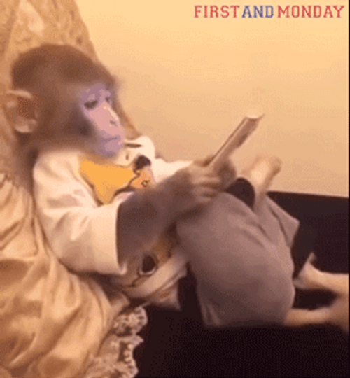 Rizz Monkey Chilling Using Mobile Phone GIF