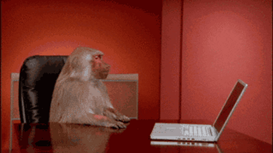 Rizz Monkey Flipping Out GIF