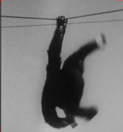 Rizz Monkey Hanging On Electricity Lines GIF