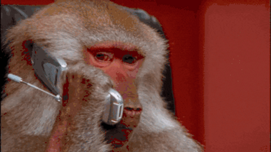 Rizz Monkey Talking On Mobile Phone GIF