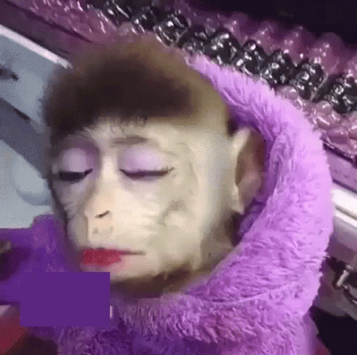 Rizz Monkey Wearing Make Up GIF