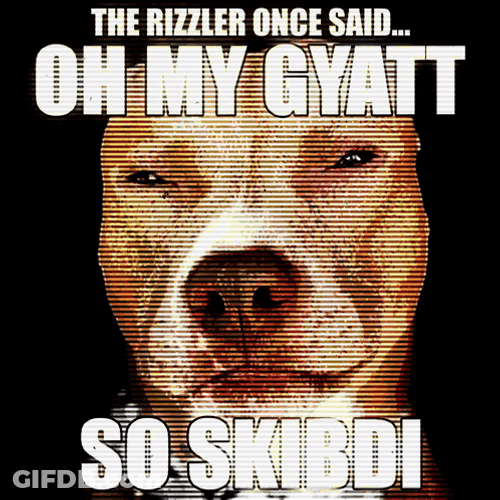 Rizzler Flashing Bully Image GIF