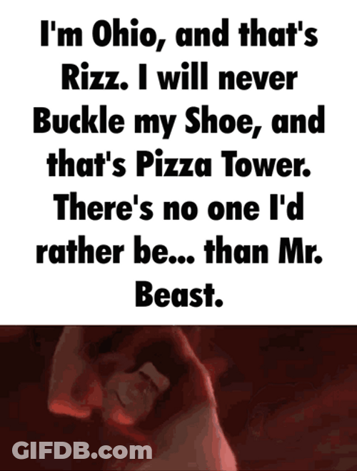 Rizzler Ohio Mr Beast Animation Meme GIF