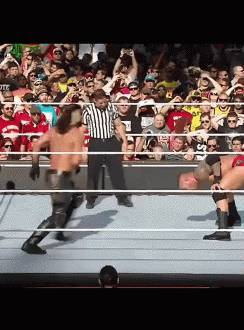 RKO Randy Kicked Smash GIF