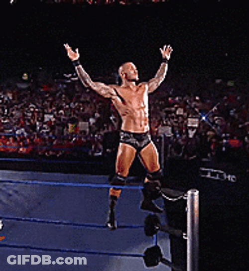 RKO Randy Orton Survivor GIF