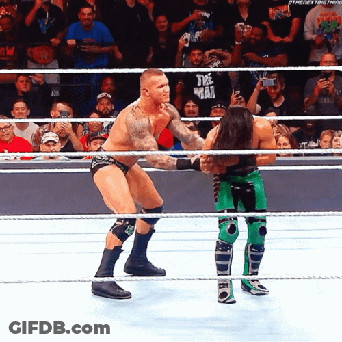 RKO Randy Orton Vs Mustafa GIF