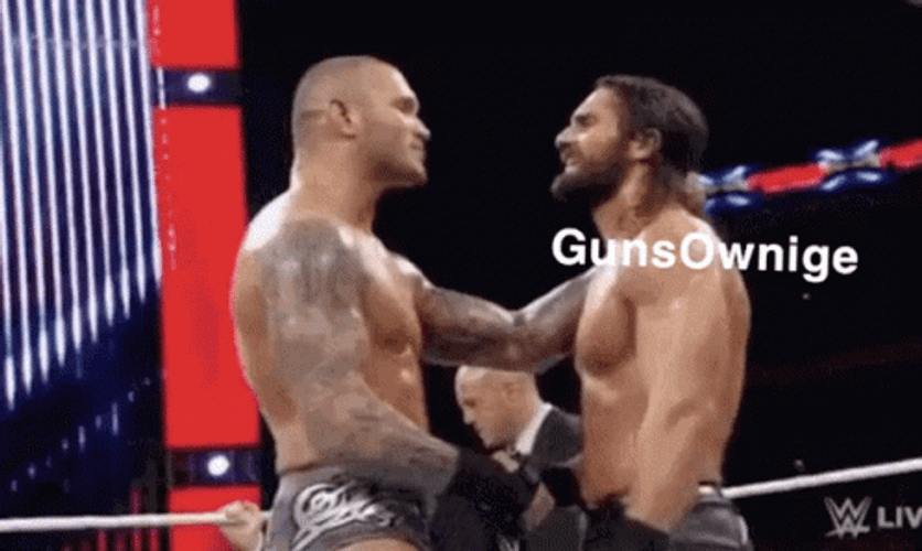 RKO Randy Orton Vs Roman Reigns GIF