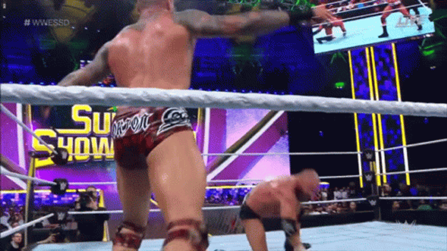 RKO Randy Orton Vs Triple H GIF