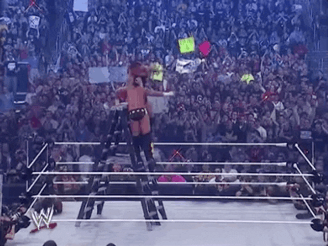 RKO Randy Orton WrestleMania 23 GIF