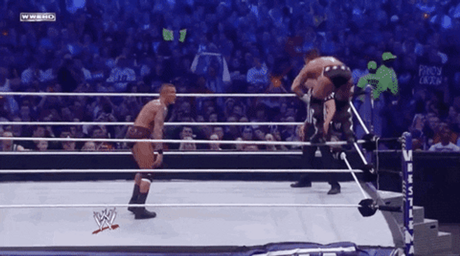 RKO Randy Orton WWE Sport GIF