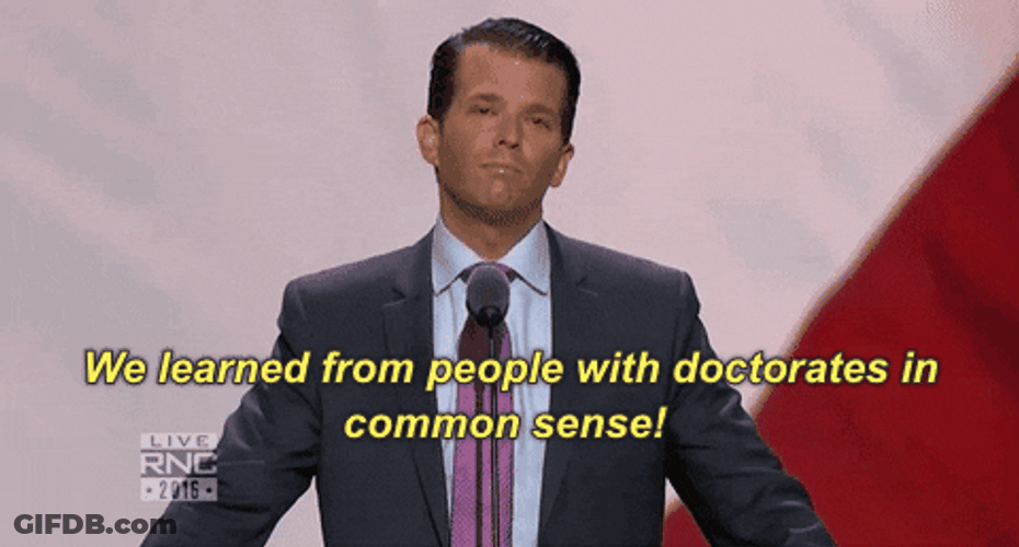 Rnc Businessman Donald Trump Jr GIF