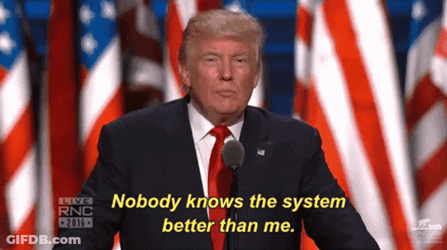 Rnc Donald Trump Knows The System GIF