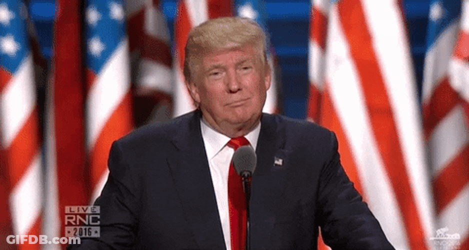 Rnc Presidential Candidate Donald Trump Head Tilt GIF