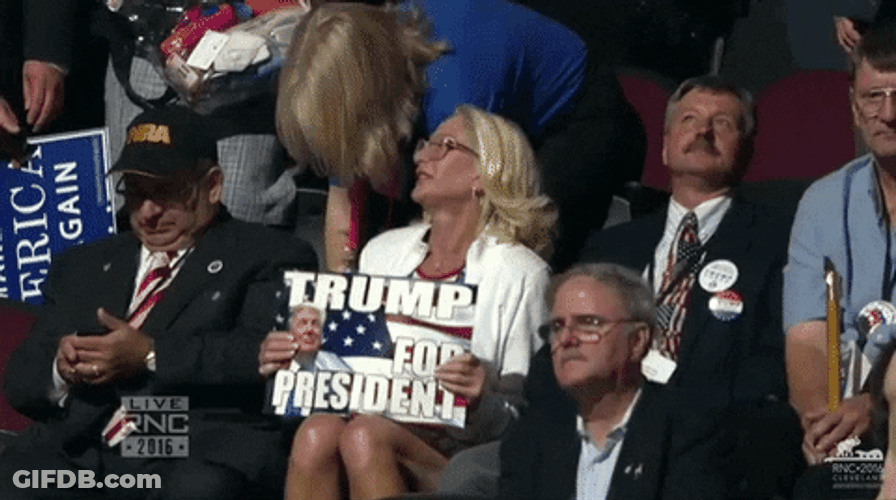 Rnc Republican Fans Trump Signage GIF