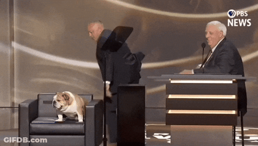 Rnc Republican National Convention Bulldog GIF