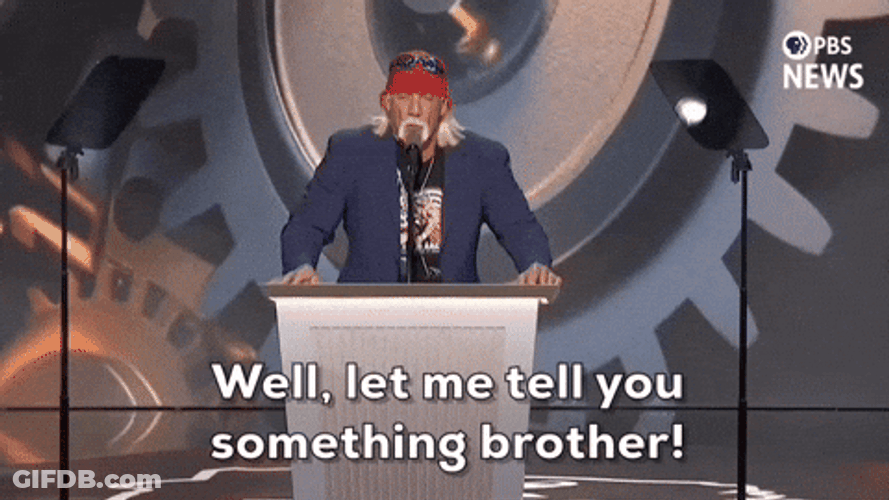 Rnc Wrestler Hulk Hogan GIF