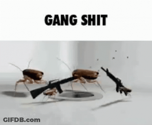 Roach Firing GIF