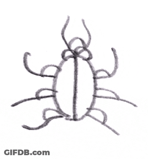 Roach In 2D GIF