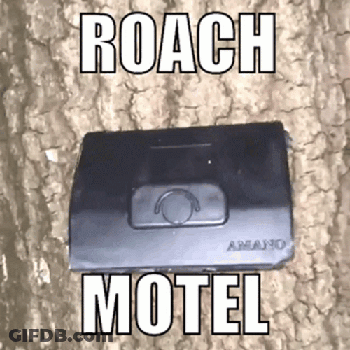 Roach Motel GIF