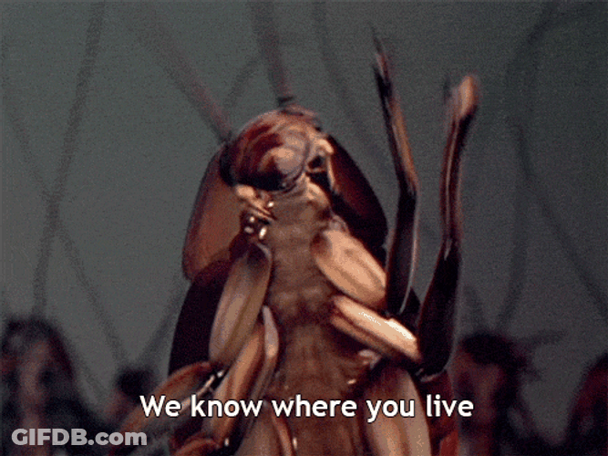 Roach GIF