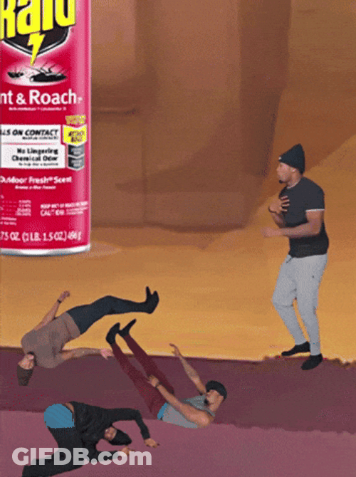 Roaches Died Raid Insect Spray GIF