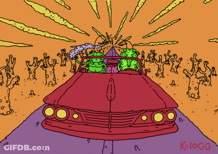 Roaches Driving Red Car GIF