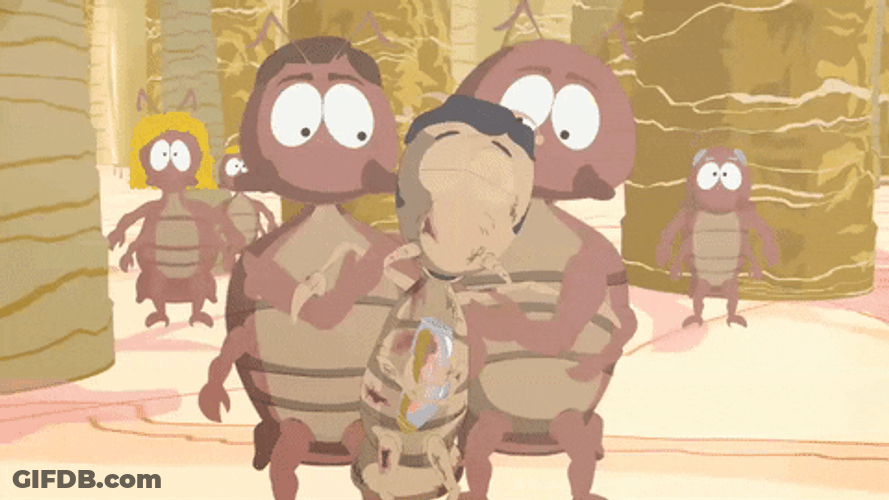 Roaches Evacuating Their Village GIF