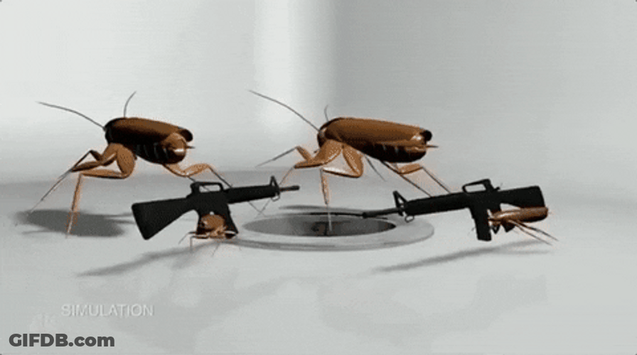 Roaches Gun War On Sink GIF