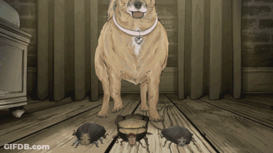 Roaches Run Fast Dog Behind GIF
