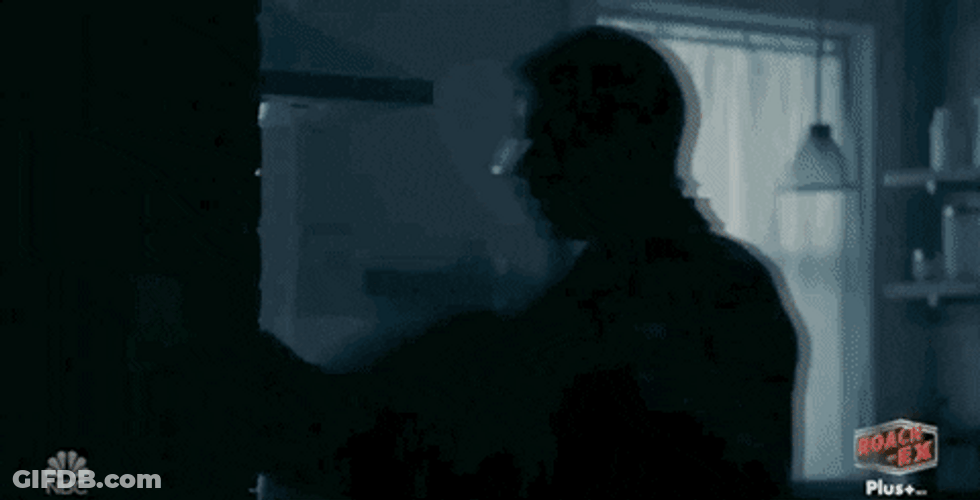 Roaches When Lights Turned On GIF
