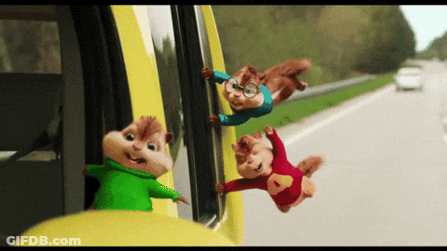 Road Chipmunks Having Fun GIF