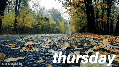 Road Covered In Leaves With Thursday GIF