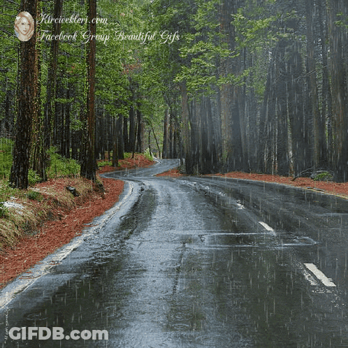 Road In The Rain GIF