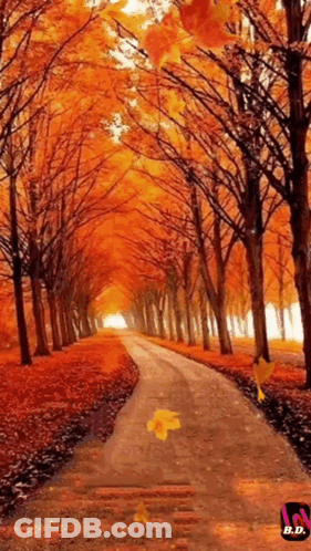Road Lined With Trees Painting With B.D GIF