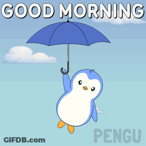 Road Raining Like Crazy GIF