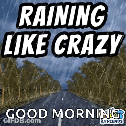 Road Raining Like Crazy GIF