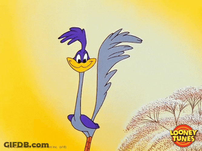 Road Runner Sign Looney Tunes GIF