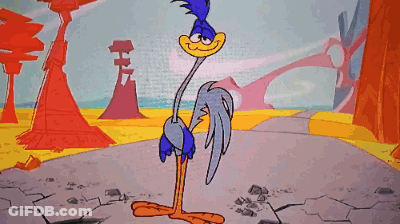 Road Runner Standing On Ground GIF